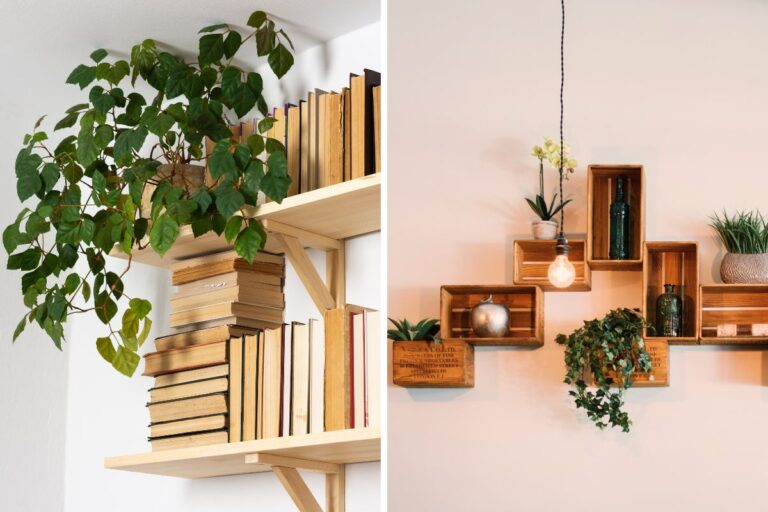 erros plantas em prateleiras