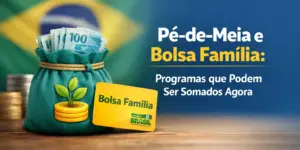 Saco com reais, cartão Bolsa Família e moedas com planta.